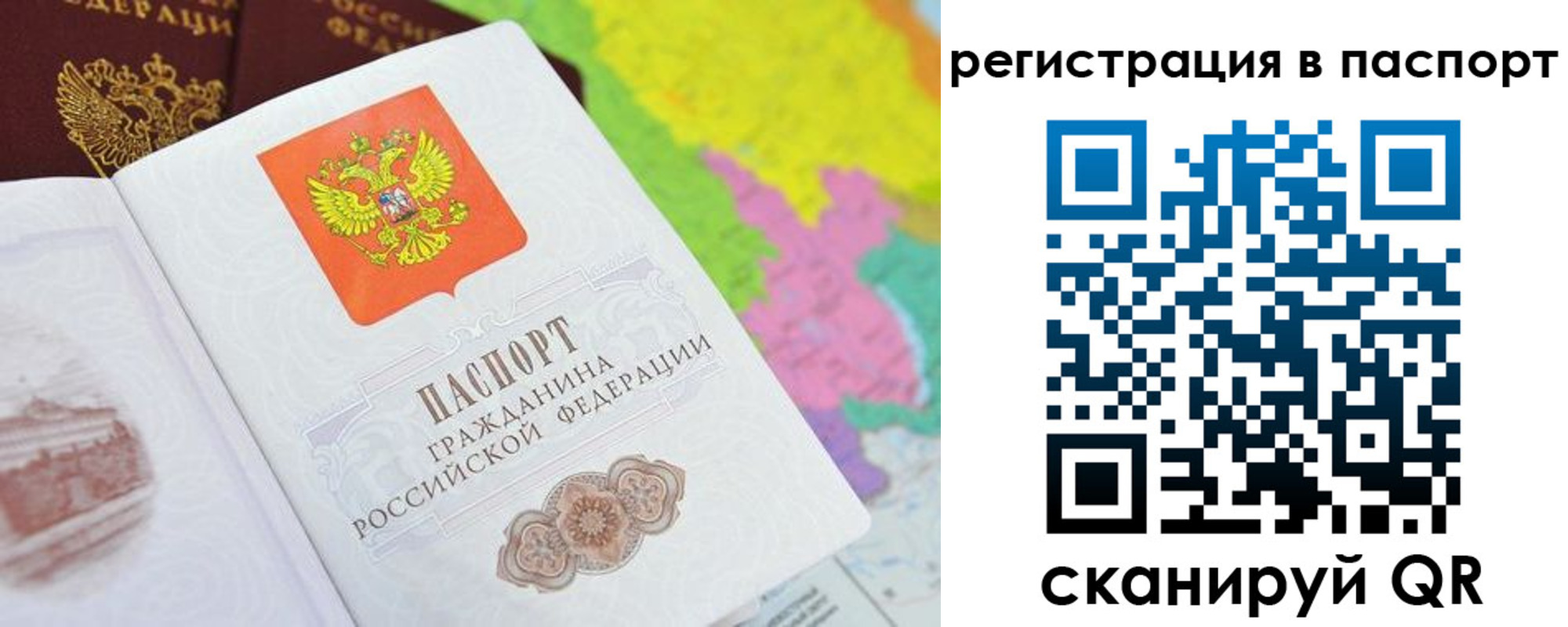 прописка штамп в Гвардейске